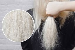 نجات موهای دمیج و سوخته با بوتاکس: احیای مو در یک چشم به هم زدن